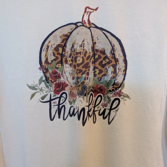 Modern Canvas White Pumpkin 'Thankful" Fall Cozy Long Sleeve - Picture 3 of 5
